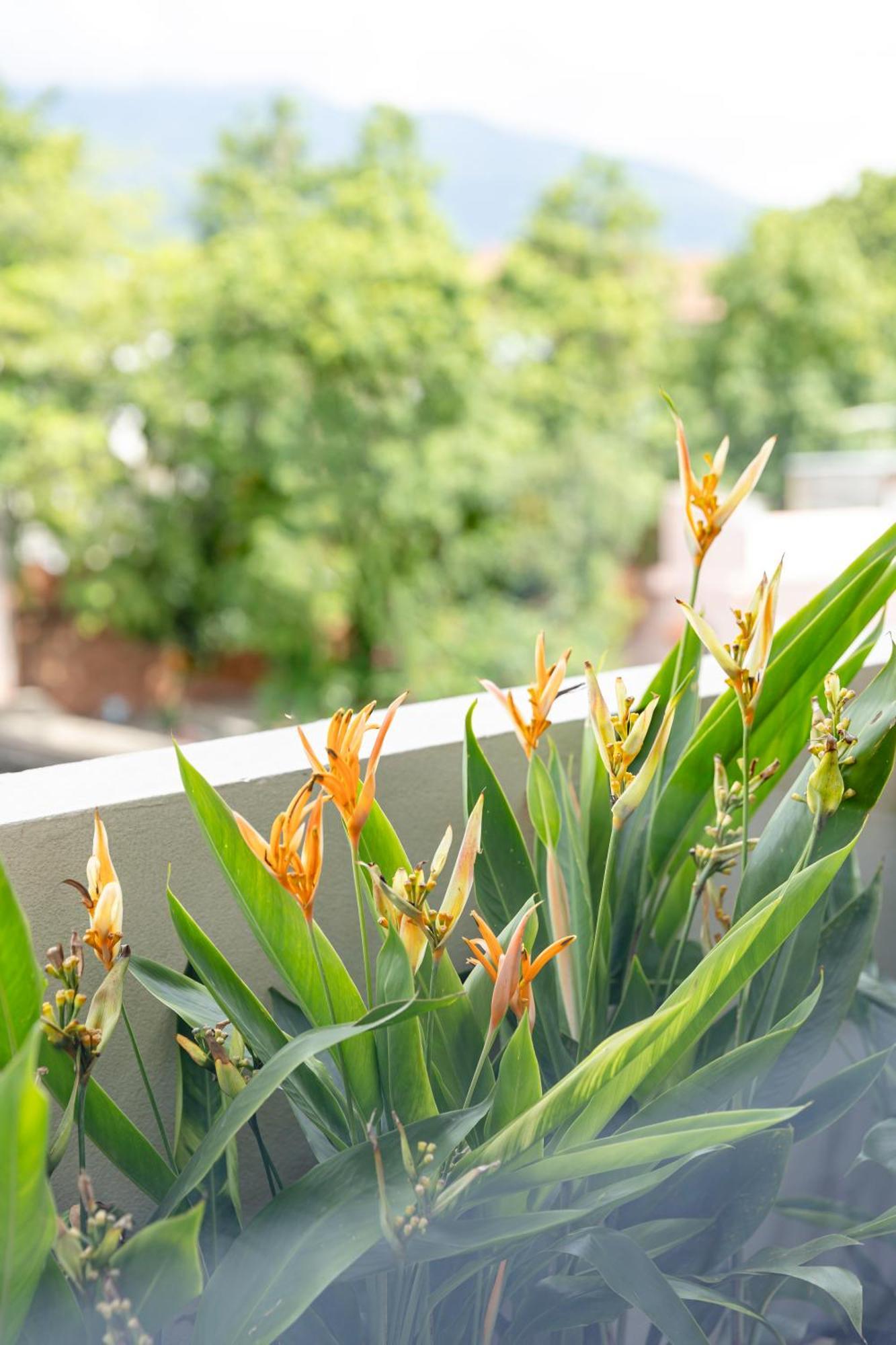 At Thaphae Hostel เชียงใหม่ ภายนอก รูปภาพ